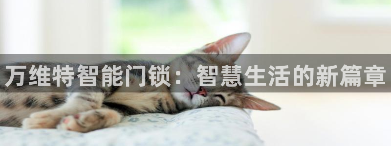 今年会送彩金28：万维特智能门锁：智慧生活的新篇章