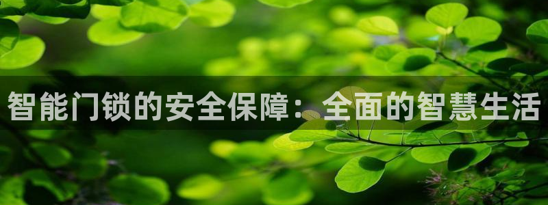 金年会平台是不是大台子：智能门锁的安全保障：全面的智慧生活