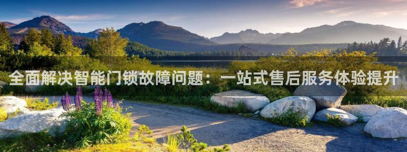 金年会体育平台：全面解决智能门锁故障问题：一站式售后服务体验