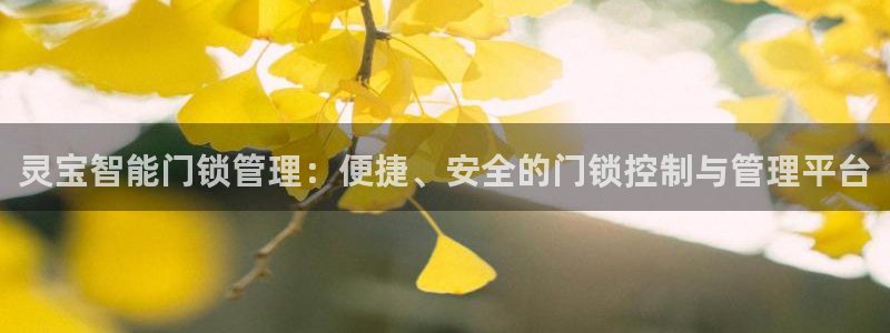 jinnianhui 金年会：灵宝智能门锁管理：便捷、安全的