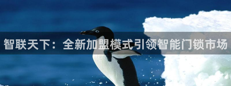 金年会金年会：智联天下：全新加盟模式引领智能门锁市场