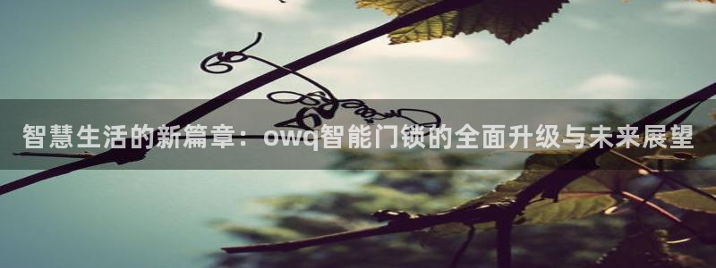 金年会中国金年会登录：智慧生活的新篇章：owq智能门锁的全面
