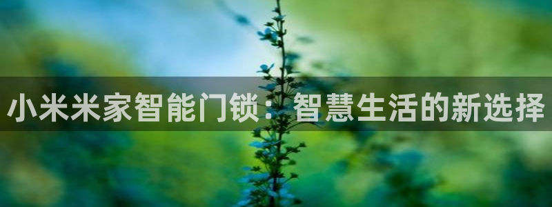 金年会网址：小米米家智能门锁：智慧生活的新选择