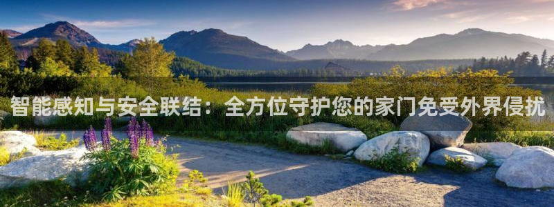 金年会下载官方：智能感知与安全联结：全方位守护您的家门免受外