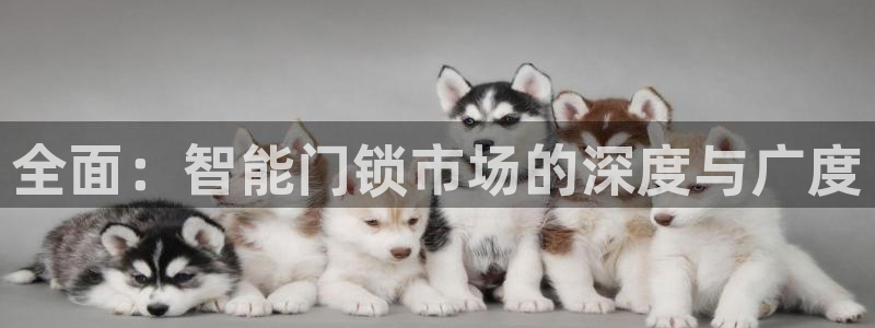 2022年金科年会：全面：智能门锁市场的深度与广度