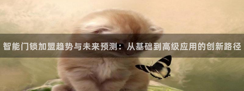 金年会电子游戏：智能门锁加盟趋势与未来预测：从基础到高级应用