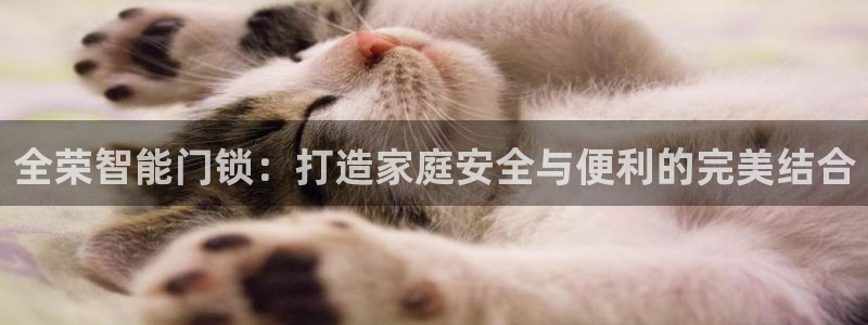 金年会app在线：全荣智能门锁：打造家庭安全与便利的完美结合