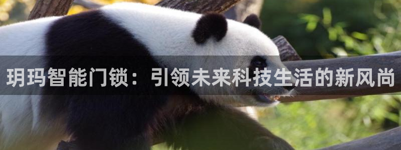 金年会体育官网在线：玥玛智能门锁：引领未来科技生活的新风尚