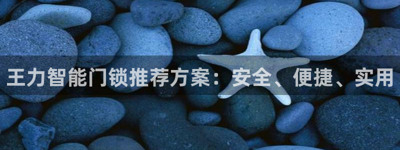 金年会娱乐-平台登录：王力智能门锁推荐方案：安全、便捷、实用