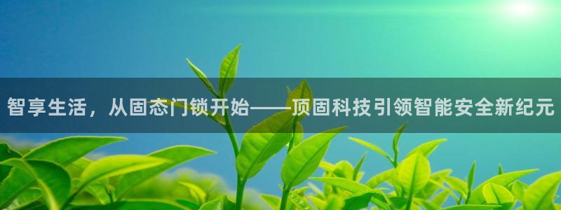 金年会金字招牌诚信至上：智享生活，从固态门锁开始——顶固科技