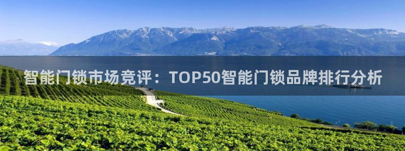金年会电子游戏app：智能门锁市场竞评：TOP50智能门锁品