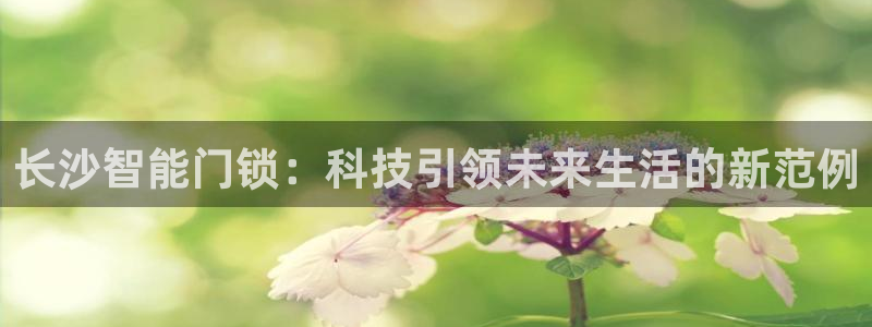 金年会体育下载
