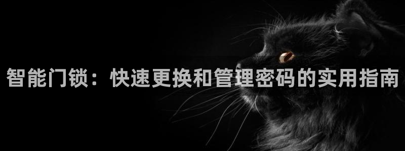 金年会菲律宾：智能门锁：快速更换和管理密码的实用指南