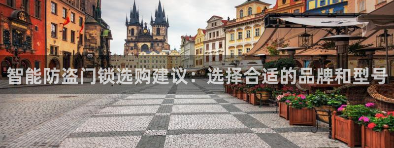 为什么搜索不了金年会：智能防盗门锁选购建议：选择合适的品牌和