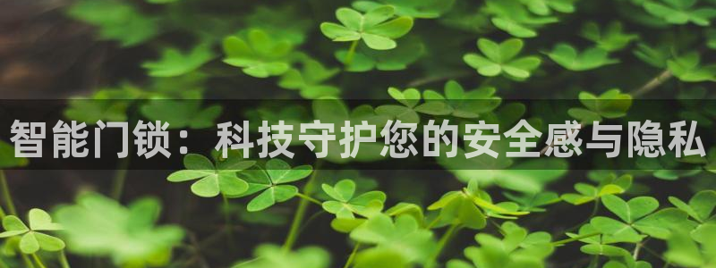 金升年会：智能门锁：科技守护您的安全感与隐私