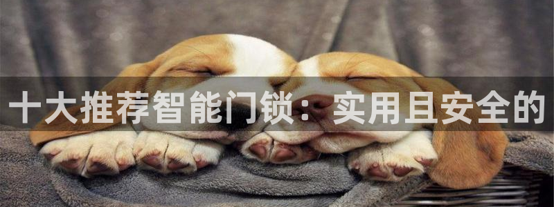 今年会金年会：十大推荐智能门锁：实用且安全的