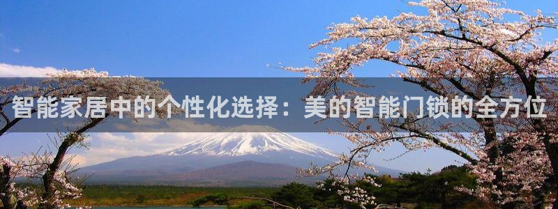 金年会彩金：智能家居中的个性化选择：美的智能门锁的全方位