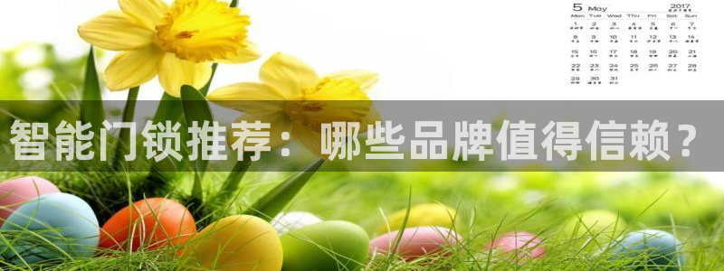 金年会官：智能门锁推荐：哪些品牌值得信赖？
