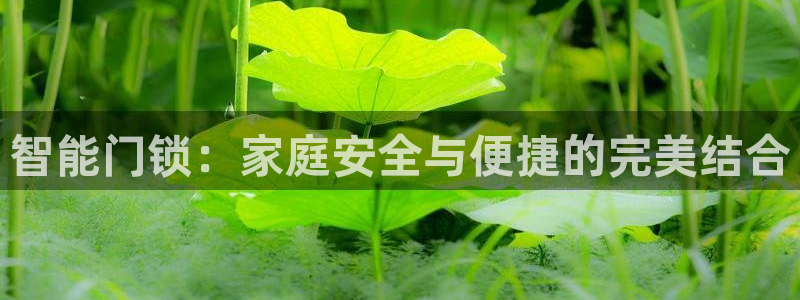 金年会金字招牌诚信：智能门锁：家庭安全与便捷的完美结合