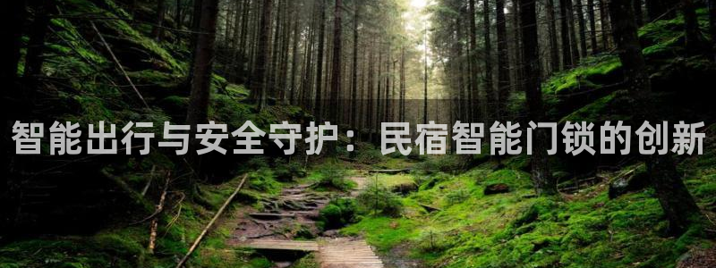 金年会登录：智能出行与安全守护：民宿智能门锁的创新