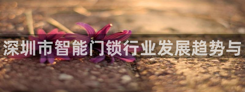 jinnian金年会：深圳市智能门锁行业发展趋势与