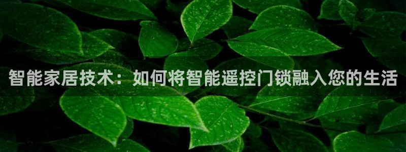 金年会娱乐app