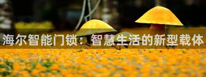 金年会品牌：海尔智能门锁：智慧生活的新型载体