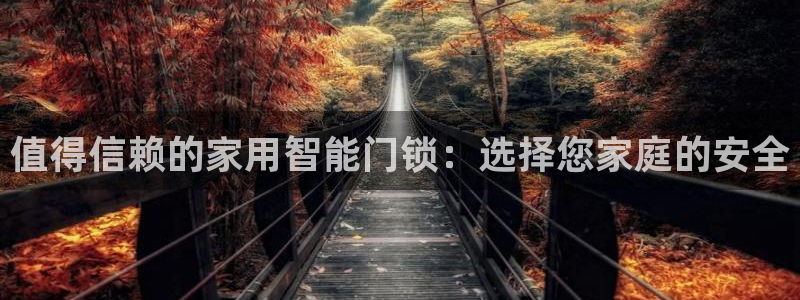金年会和万博：值得信赖的家用智能门锁：选择您家庭的安全