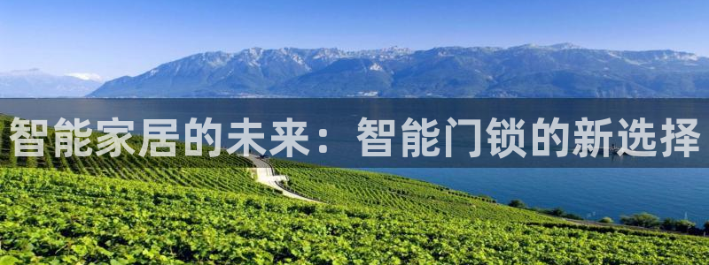 金年会首页登录：智能家居的未来：智能门锁的新选择