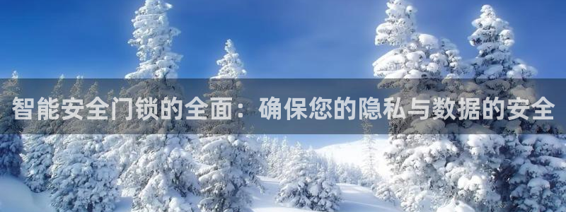 金年会是啥：智能安全门锁的全面：确保您的隐私与数据的安全