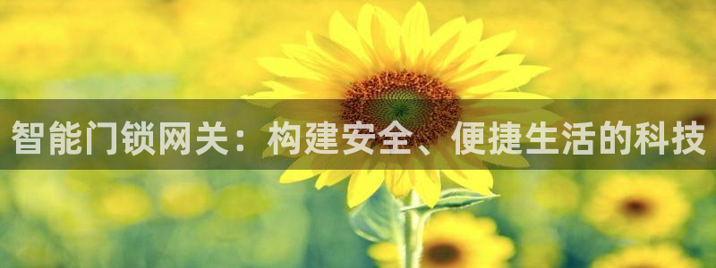金年会信誉：智能门锁网关：构建安全、便捷生活的科技