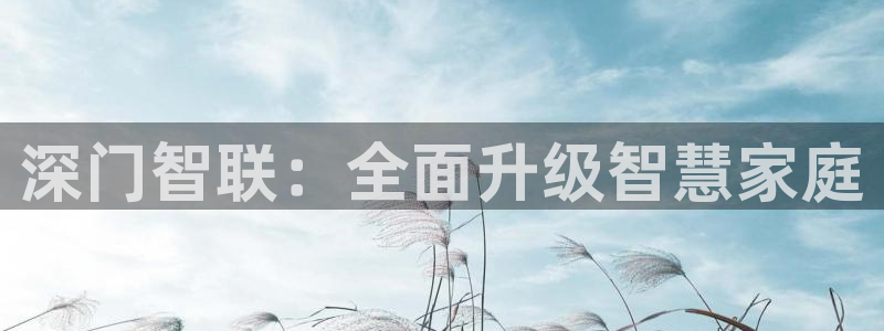 金年会娱乐提现：深门智联：全面升级智慧家庭