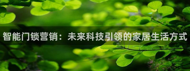 澳门娱乐金年会：智能门锁营销：未来科技引领的家居生活方式