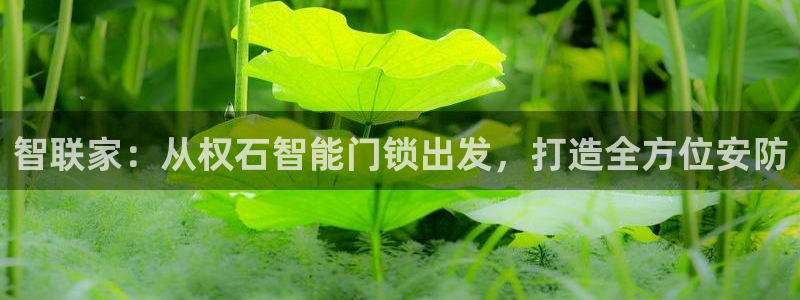 金年会现金网：智联家：从权石智能门锁出发，打造全方位安防