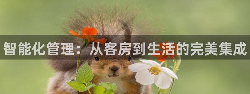 金年会入口：智能化管理：从客房到生活的完美集成