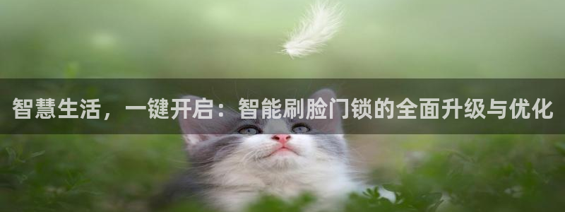 世界杯金年会app下载：智慧生活，一键开启：智能刷脸门锁的全
