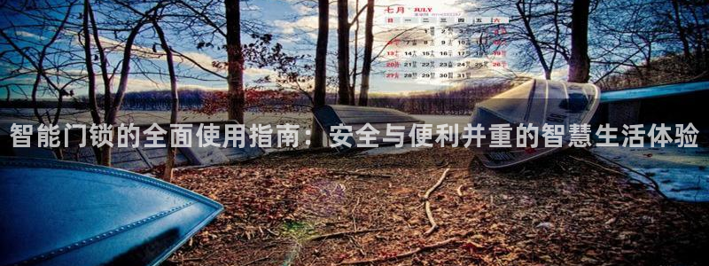 金年会赌博：智能门锁的全面使用指南：安全与便利并重的智慧生活