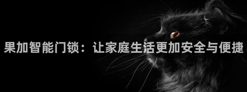 金年会官方网址登录路线：果加智能门锁：让家庭生活更加安全与便