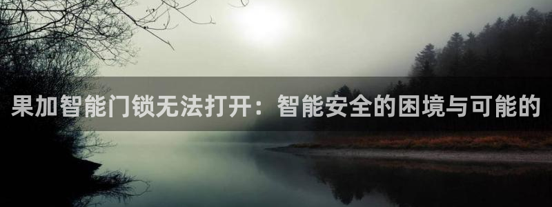 金联金年会：果加智能门锁无法打开：智能安全的困境与可能的