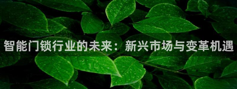 金年会app下载官网：智能门锁行业的未来：新兴市场与变革机遇