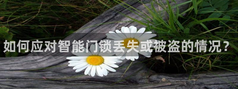 金年会体育官方下载：如何应对智能门锁丢失或被盗的情况？