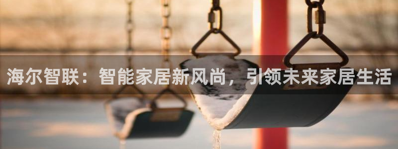 金年会在线登录：海尔智联：智能家居新风尚，引领未来家居生活