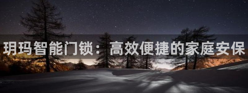 jinnianhui 金年会：玥玛智能门锁：高效便捷的家庭安