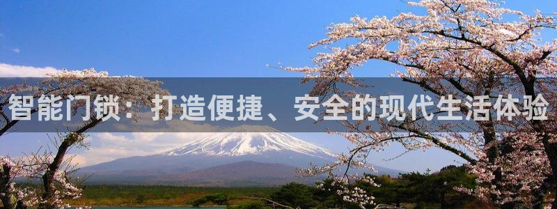 金年会官网登入：智能门锁：打造便捷、安全的现代生活体验