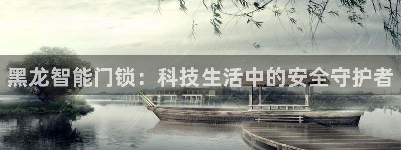 金年会6766：黑龙智能门锁：科技生活中的安全守护者