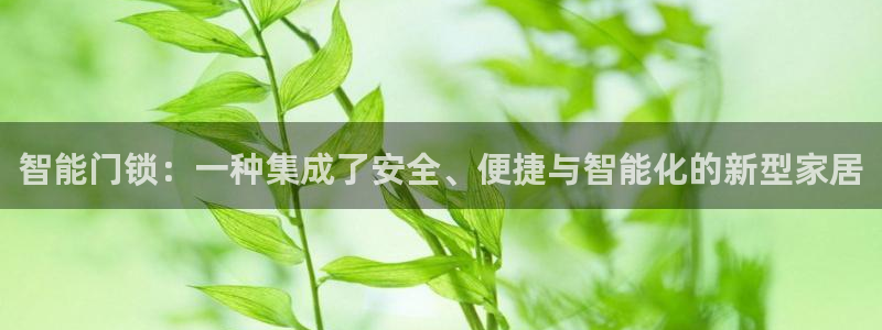 金年会软件之家下载：智能门锁：一种集成了安全、便捷与智能化的