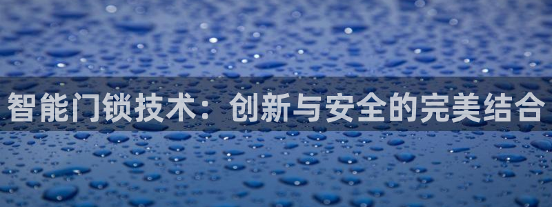 金帆年会2019：智能门锁技术：创新与安全的完美结合