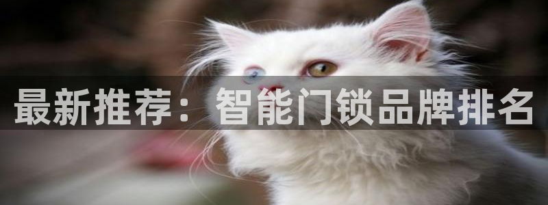 金年会活动：最新推荐：智能门锁品牌排名