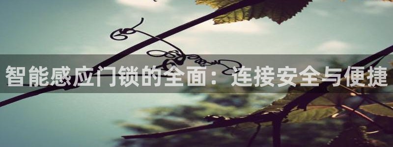 金年会安装：智能感应门锁的全面：连接安全与便捷