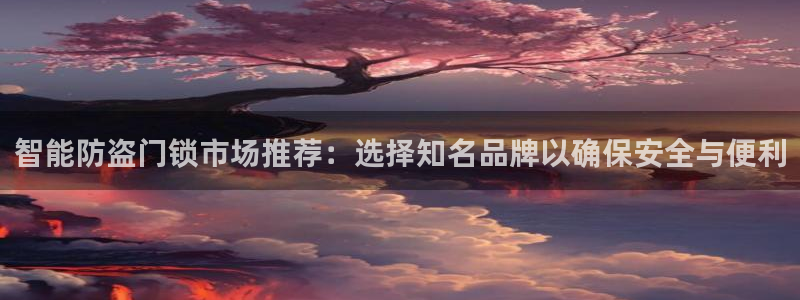 金年会体育平台：智能防盗门锁市场推荐：选择知名品牌以确保安全